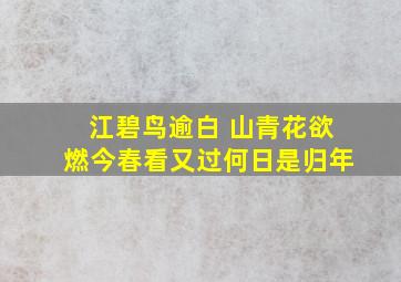 江碧鸟逾白 山青花欲燃今春看又过何日是归年